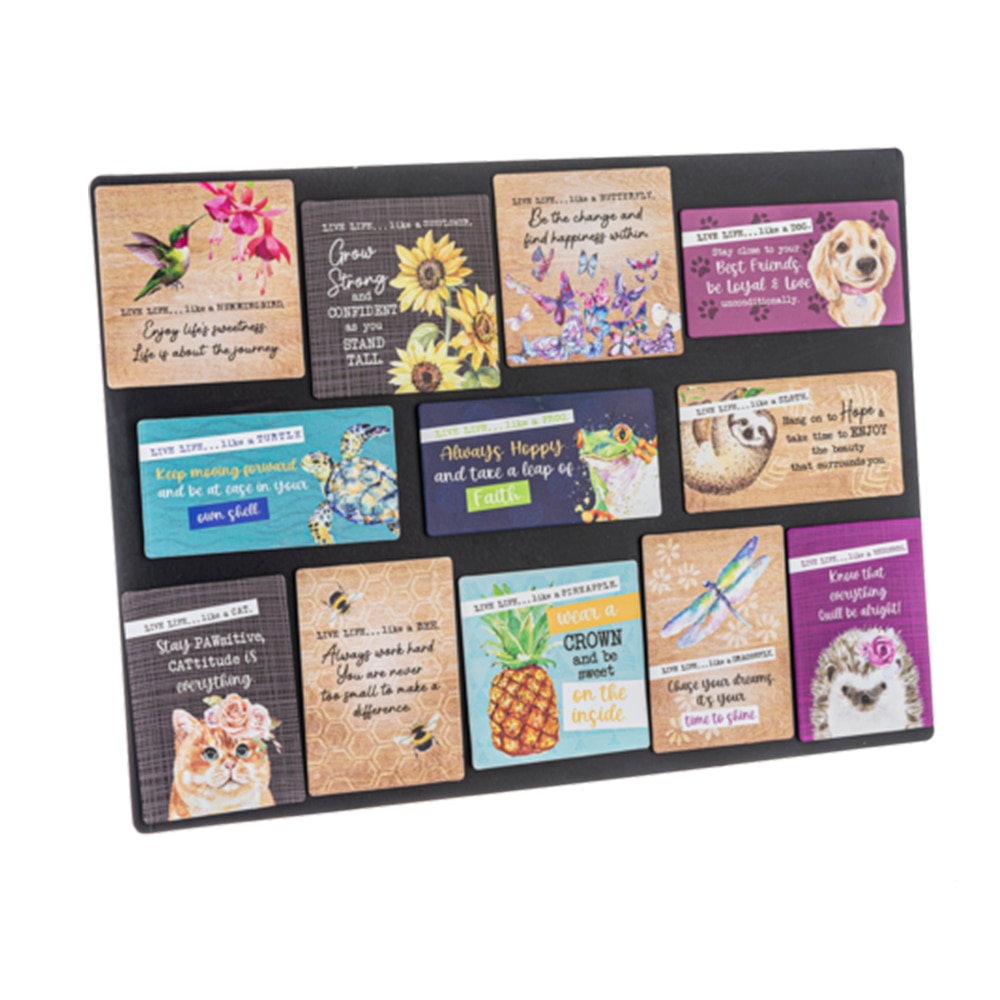 Ganz, Magnets, Gifts, Live Life, 585764